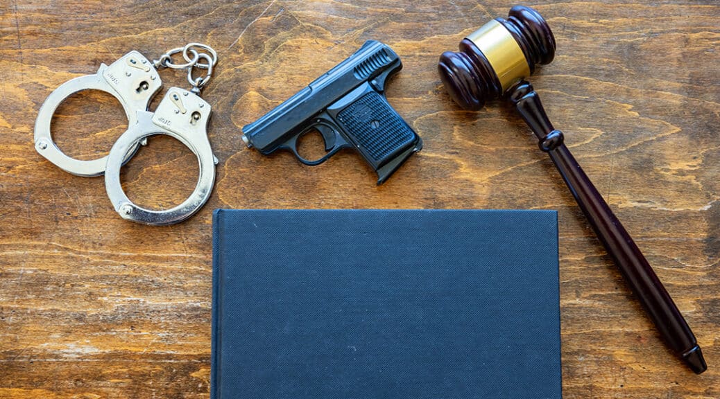 what criminal charges disqualify you from owning a gun